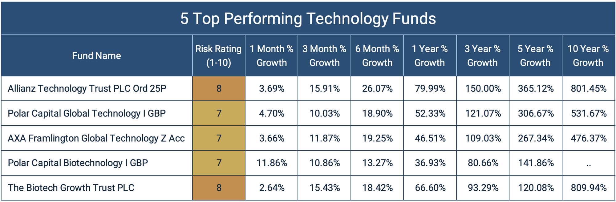 Will Technology Funds Continue To Thrive in 2021? The 5 Top Performing